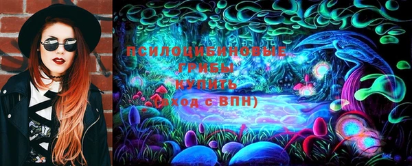спиды Алексин