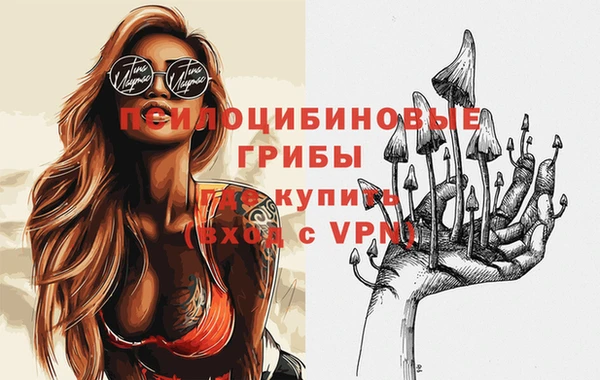спиды Алексин
