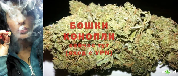 шишки Пролетарск