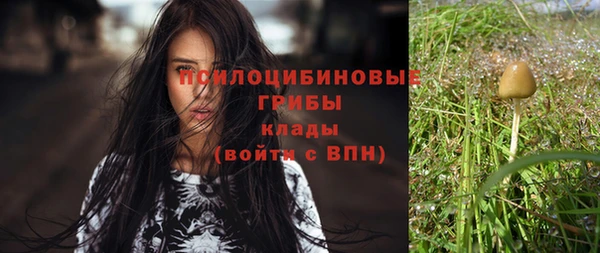 бутират Алзамай